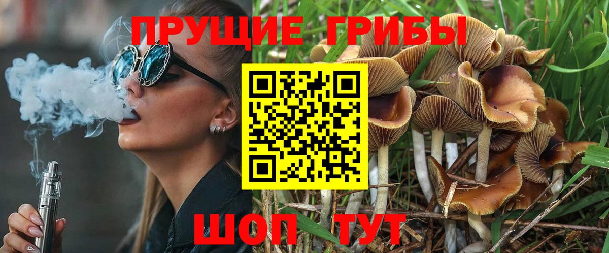 как найти закладки  Галлюциногенные грибы Psilocybine cubensis  Вход с VPN  Избербаш 